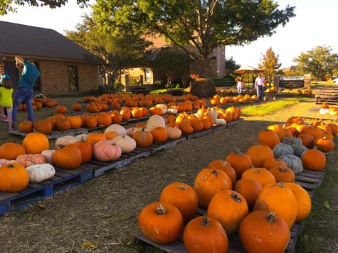 Rowlett Park and Pumpkin Patch