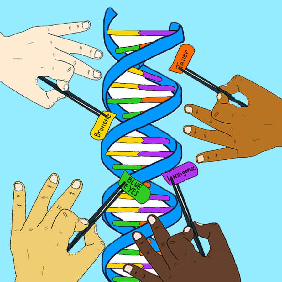 Human+Gene+Editing+Questions+Ethics+In+Medicine