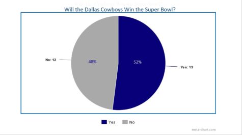 Poll: Will the Dallas Cowboys Win the Super Bowl?