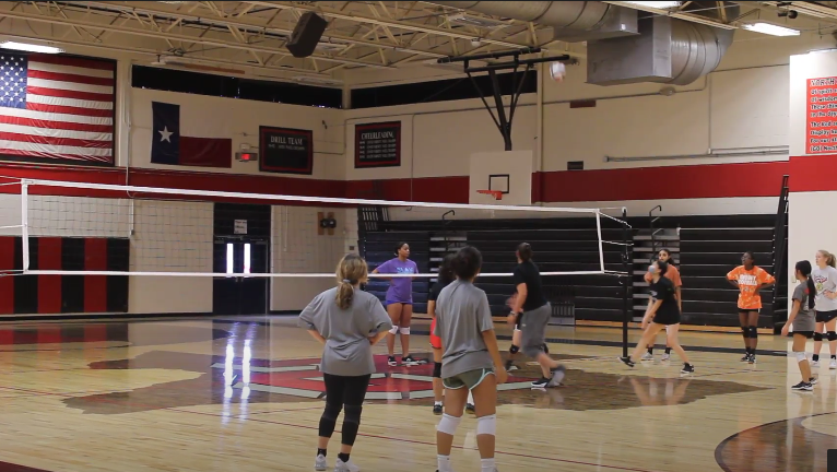 The Return of Volleyball